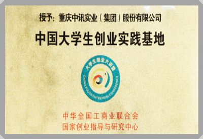 集團(tuán)榮譽(yù)