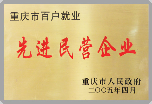 集團(tuán)榮譽(yù)