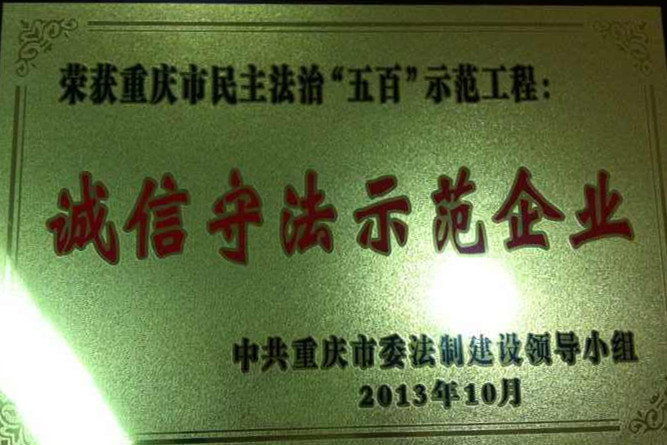 集團(tuán)榮譽(yù)